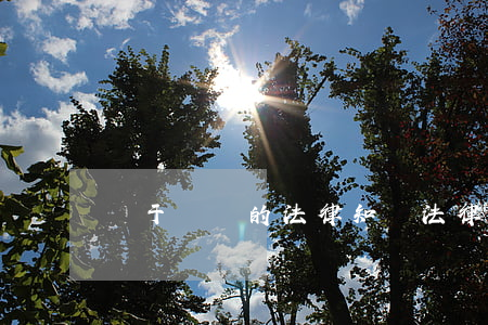 關于詐騙的法律知識(法律怎么定義詐騙)