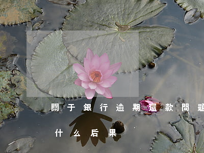 關于銀行逾期還款問題(銀行貸款逾期不還有什么后果)