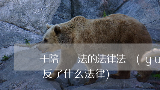 關于陪標違法的法律法規(guī)(陪標違反了什么法律)