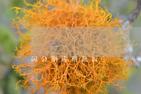 闪分期逾期起诉