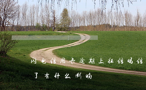 闪电信用卡逾期上征信吗(信用卡逾期上征信了有什么影响)
