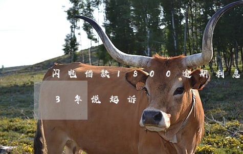 闪电借款1800逾期利息-闪电借款逾期3年说起诉
