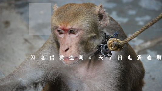 闪电借款逾期4天了(闪电贷逾期多久会上诉)