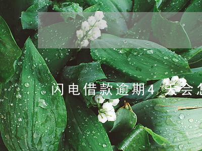 闪电借款逾期4天会怎样（闪电借款逾期4天）