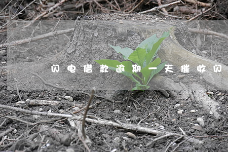 闪电借款逾期一天催收(闪电贷还款迟了一天)