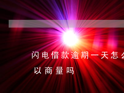 闪电借款逾期一天怎么办(闪电贷逾期一天可以商量吗)