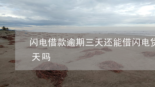 闪电借款逾期三天还能借(闪电贷可以只借几天吗)
