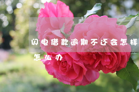 闪电借款逾期不还会怎样(闪电借到期还不上怎么办)
