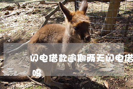 闪电借款逾期两天(闪电借款逾期两天会上门吗)