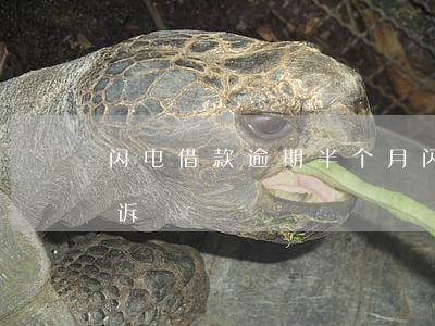 闪电借款逾期半个月 闪电贷逾期多久会被起诉