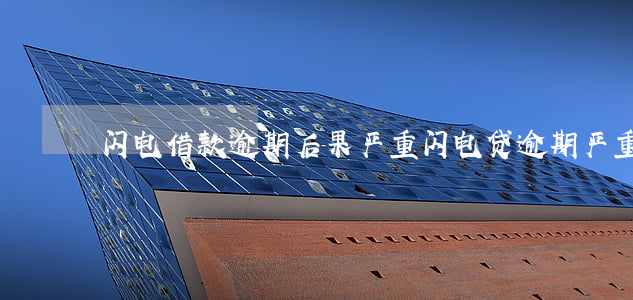 闪电借款逾期后果严重(闪电贷逾期严重吗)