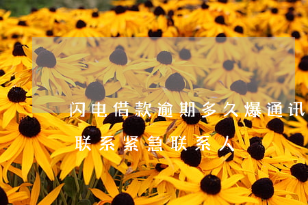 闪电借款逾期多久爆通讯(闪电贷逾期多久会联系紧急联系人)
