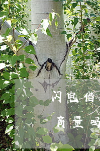 闪电借款逾期怎么应对(闪电贷逾期一天可以商量吗)