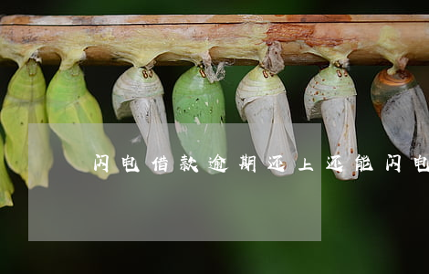 闪电借款逾期还上还能(闪电贷逾期严重吗)