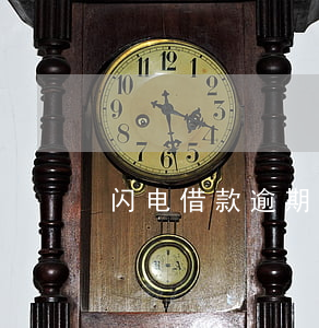 闪电借款逾期还完再借(闪电借款还放款吗)