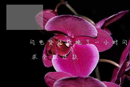 闪电贷还款晚了一小时（闪电贷逾期一个月要求全额还款）