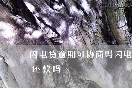 闪电贷逾期可协商吗（闪电借款逾期了能协商还款吗）