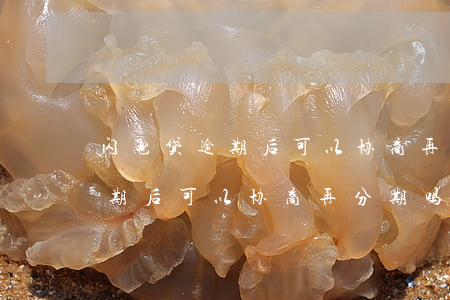 闪电贷逾期后可以协商再分期吗-闪电贷逾期后可以协商再分期吗安全吗