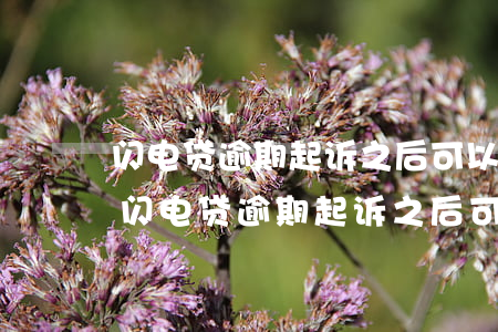 闪电贷逾期起诉之后可以协商只还本金吗-闪电贷逾期起诉之后可以协商只还本金吗