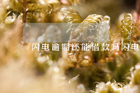 闪电逾期还能借款吗(闪电逾期还能借款吗)