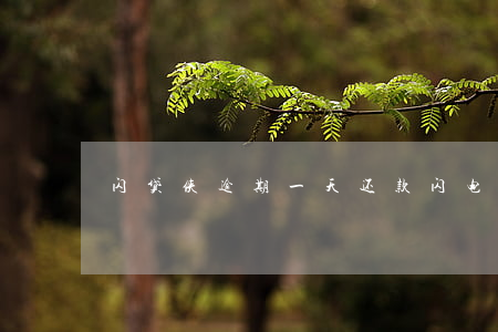 闪贷侠逾期一天还款(闪电贷逾期多久会上诉)
