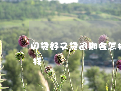 闪贷好又贷逾期会怎样(闪贷好又贷逾期会怎样)