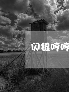 闪银哼哼拖欠期不能还款(闪银无法还款)