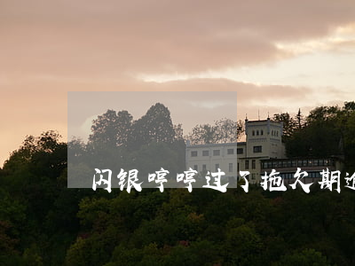 闪银哼哼过了拖欠期逾期一天(闪银逾期吧)