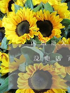 闪银拖欠期是不是逾期(闪银逾期半年了怎么没电话了)