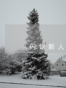 闪银新人直通车逾期(闪银下架了)