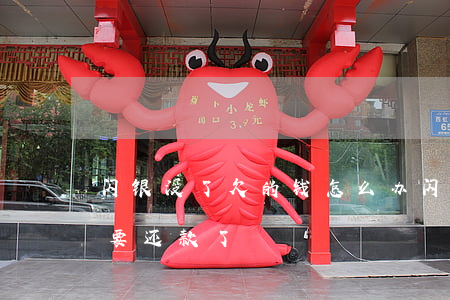 闪银没了欠的钱怎么办(闪银钱没到账怎么就要还款了)