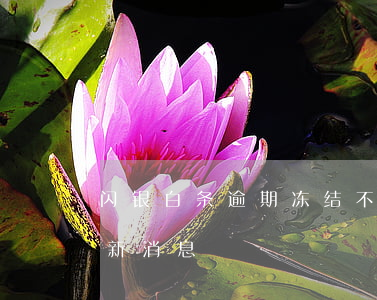 闪银白条逾期冻结不上征信(闪银上征信吗最新消息)