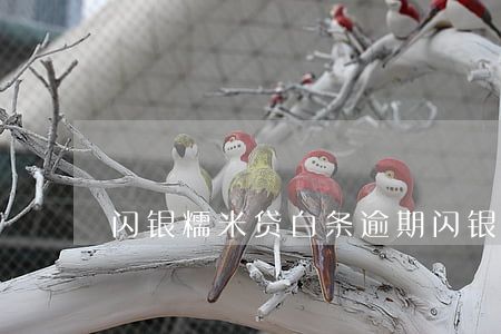闪银糯米贷白条逾期 闪银糯米贷app下载
