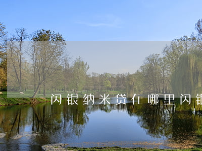 闪银纳米贷在哪里（闪银纳米贷逾期多久）