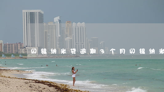 闪银纳米贷逾期3个月(闪银纳米贷在哪里)