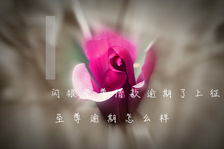 闪银至尊借款逾期了上征信吗(2020闪银至尊逾期怎么样)
