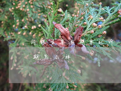 闪银至尊逾期要起诉-2020闪银至尊逾期怎么样