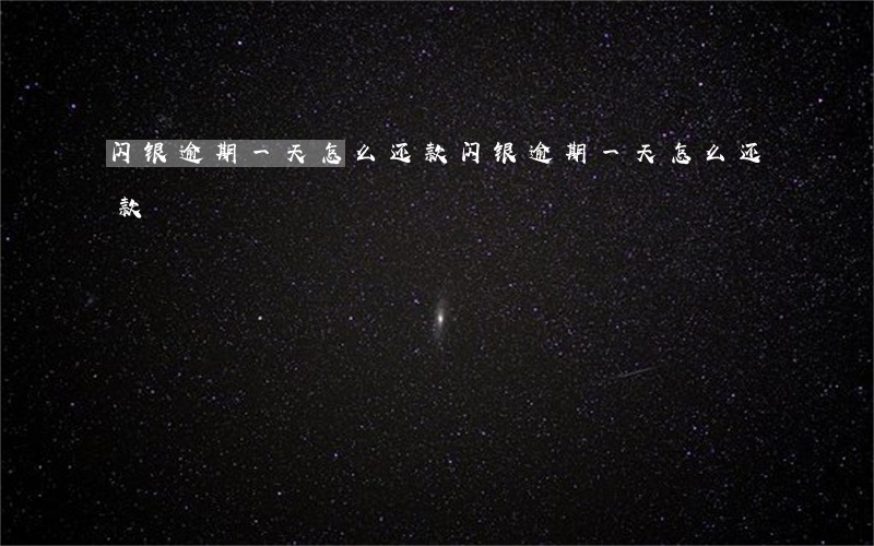 闪银逾期一天怎么还款(闪银逾期一天怎么还款)