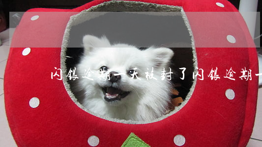 闪银逾期一天被封了(闪银逾期一年多)