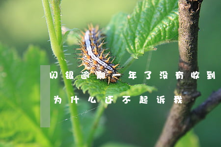 闪银逾期一年了没有收到起诉(闪银逾期两年为什么还不起诉我)