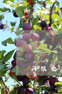 闪银逾期一般几天上征信 闪电贷逾期几天上征信