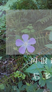 闪银逾期十天多久能消多久能消-闪银逾期后多久还能用