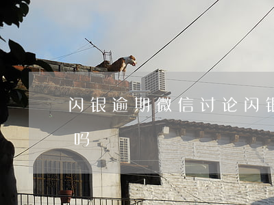 闪银逾期微信讨论(闪银逾期一年多了会上门吗)