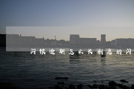闪银逾期怎么长利息的(闪银逾期百万能下吗)