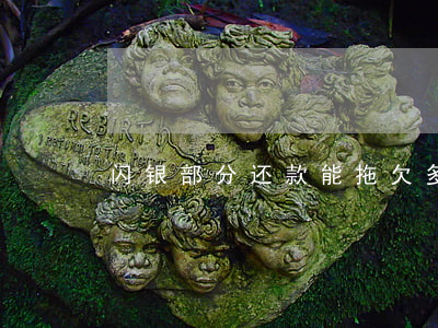 闪银部分还款能拖欠多久(闪银还能还款吗)