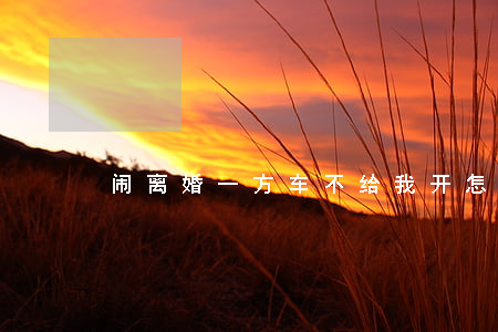 闹离婚一方车不给我开怎么办