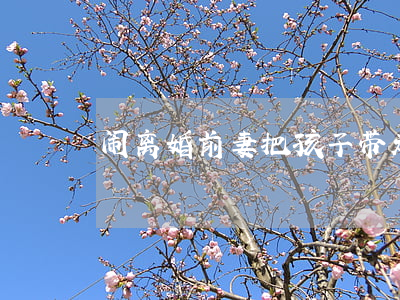 闹离婚前妻把孩子带走(前妻带着孩子走了)