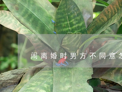 闹离婚时男方不同意怎么办