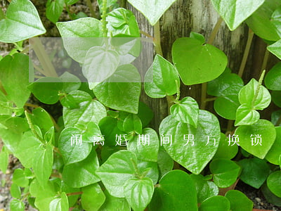 闹离婚期间男方换锁