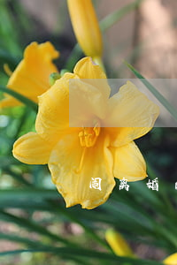 闹离婚的孩子该怎么办(现在离婚孩子怎么办)